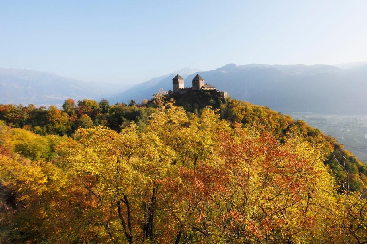 Panoramic Suites Winzerhoehe Schenna Buitenkant foto